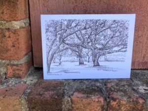 Live Oaks at Drift Inn - Image 2