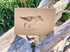 Bird Bundle - Image 7