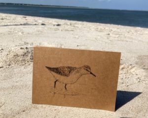 Sandpiper - Brown Cardstock - Image 2