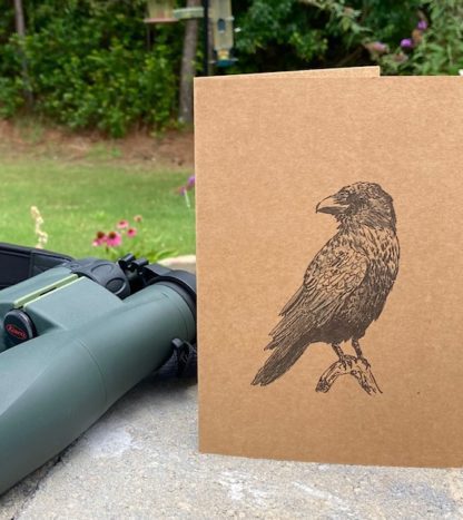 Bird Bundle - Image 6