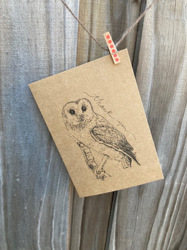 Barn Owl - Brown Cardstock