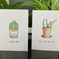 Succulent Bundle