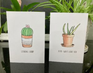 Succulent Bundle