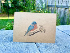 Bird Bundle - Image 4
