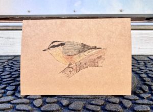Bird Bundle - Image 3