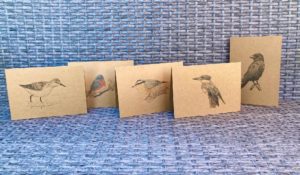 Bird Bundle - Image 2
