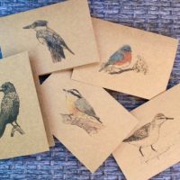 Fauna