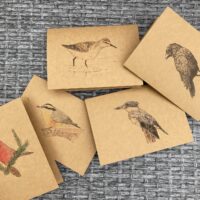 Bird Bundle