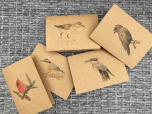 Bird Bundle