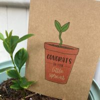 Little Sprout