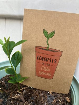 Little Sprout