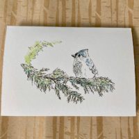 Tufted Titmouse - White Cardstock