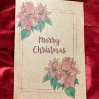 Poinsettias - Brown Cardstock