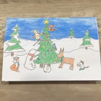 Woodland Wonderland