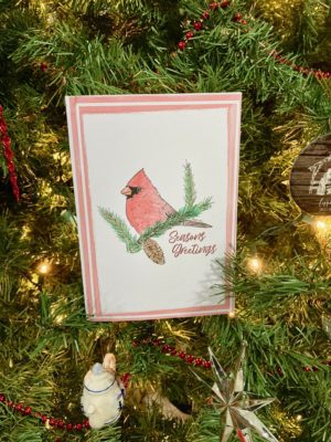 Season's Greetings - White Cardstock