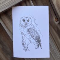 Barn Owl - Thank You White Cardstock