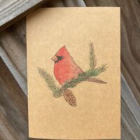 Northern Cardinal