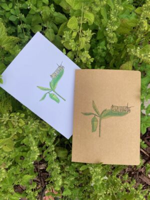 Metamorphosis - Pop-Up Card in White Cardstock - Image 3