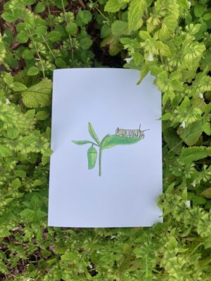 Metamorphosis - Pop-Up Card in White Cardstock