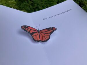 Metamorphosis - Pop-Up Card in White Cardstock - Image 2