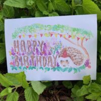 Hedgie Birthday