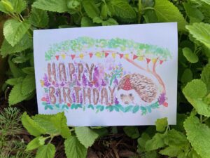 Hedgie Birthday